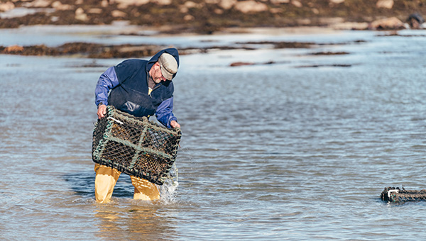 Mini Taste of Scilly - March 2022