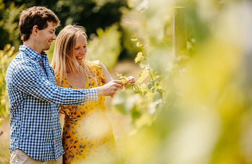 Couple doing the self guided tour at St Martin's Vineyard - Isles of Scilly
