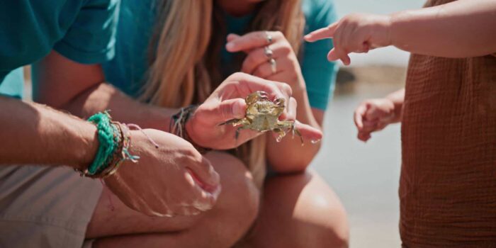 Scilly Rockpool Safaris