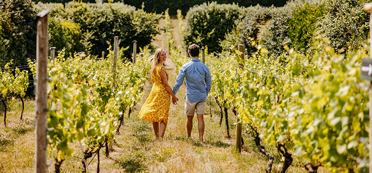 couple walking through St Martin's Vineyard - Isles of Scilly